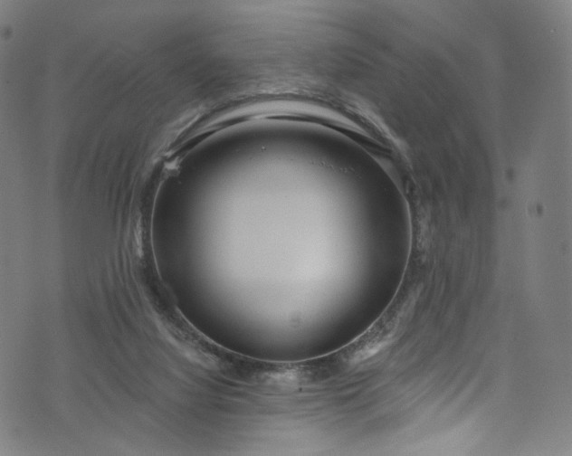 X0000073730068200608171239