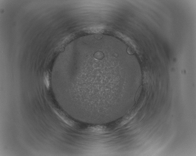 X0000073730069200608171239