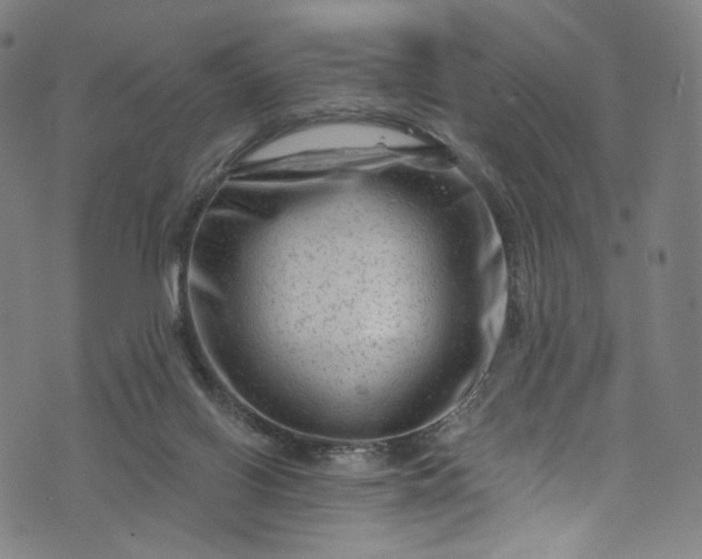 X0000073730070200608171239