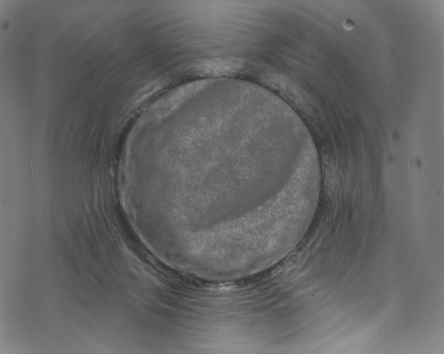 X0000073730071200608171239