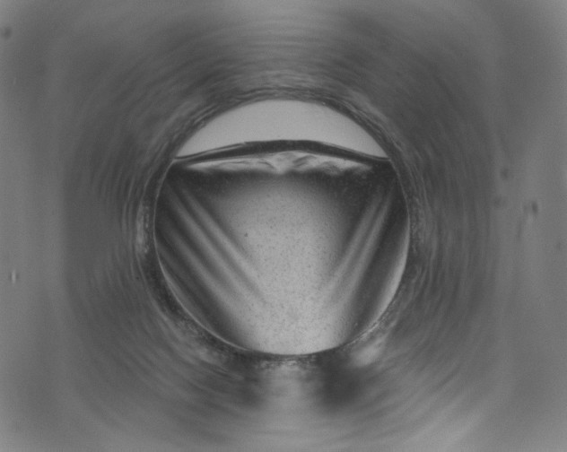 X0000073730074200608171239