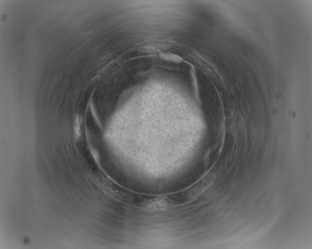 X0000073730075200608171239