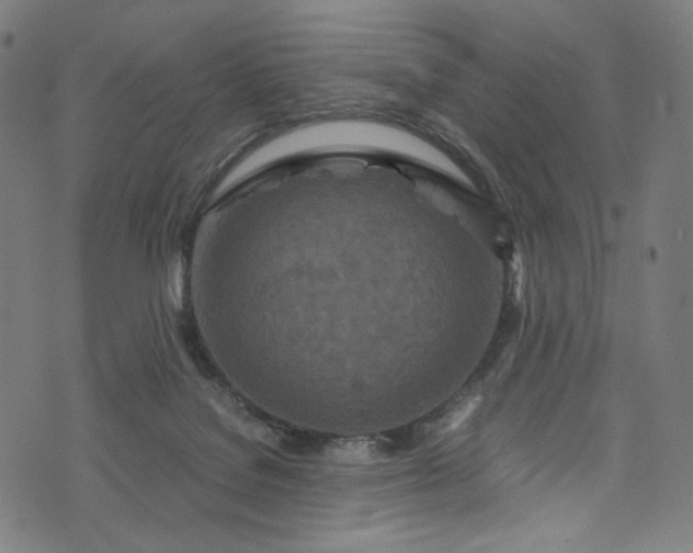 X0000073730076200608171239