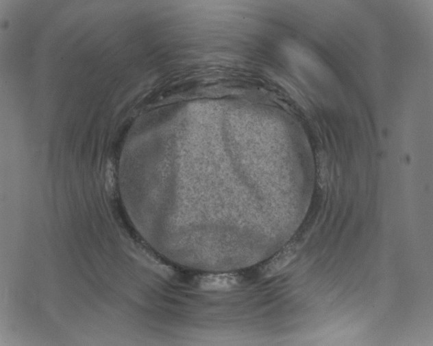 X0000073730077200608171239