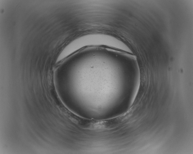 X0000073730078200608171239