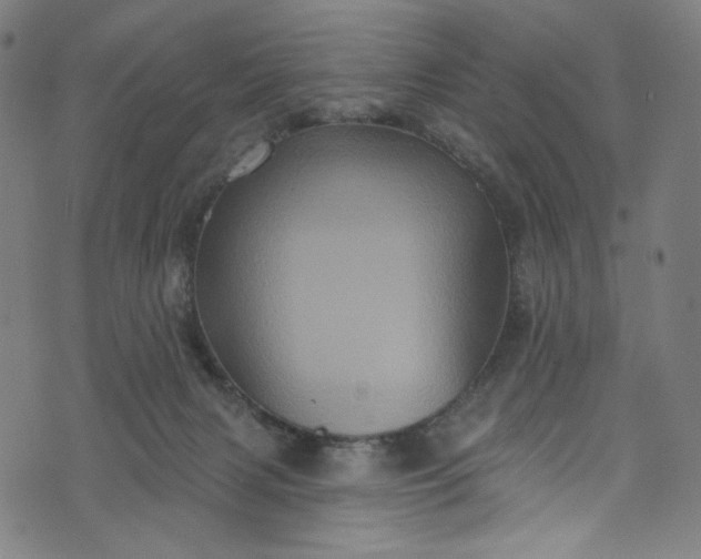 X0000073730079200608171239