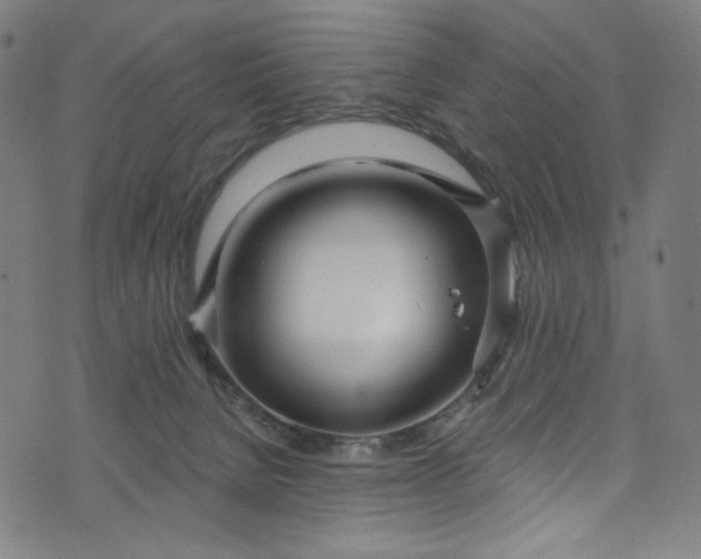 X0000073730080200608171239