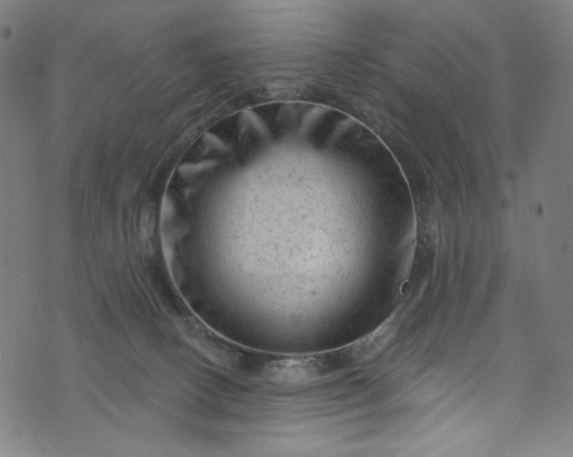 X0000073730082200608171239