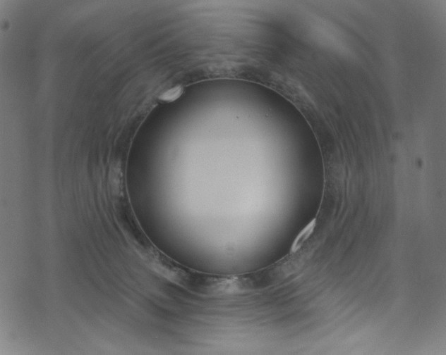 X0000073730083200608171239