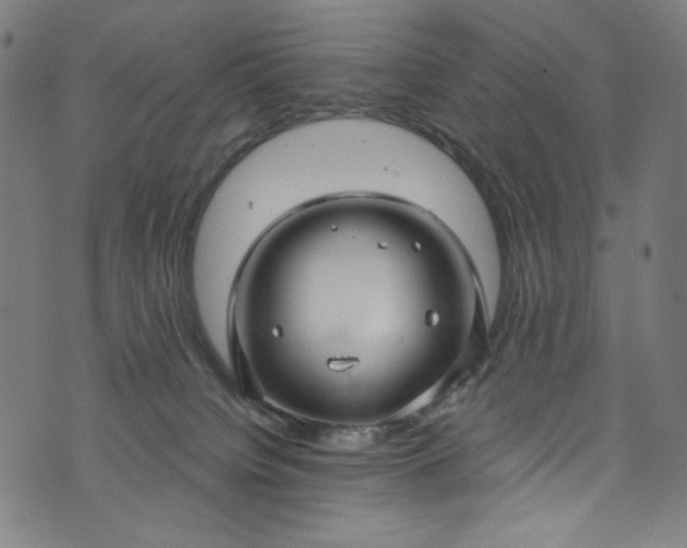 X0000073730084200608171239