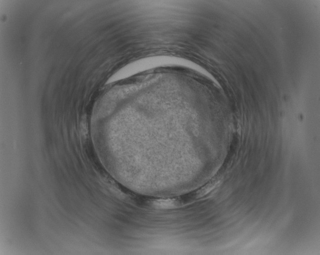 X0000073730085200608171239