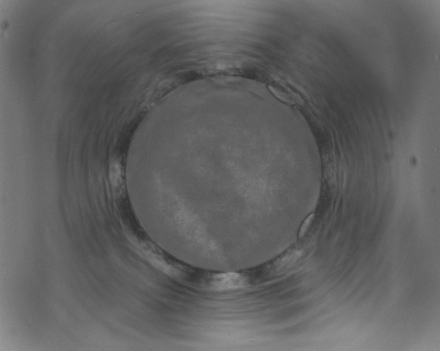 X0000073730087200608171239