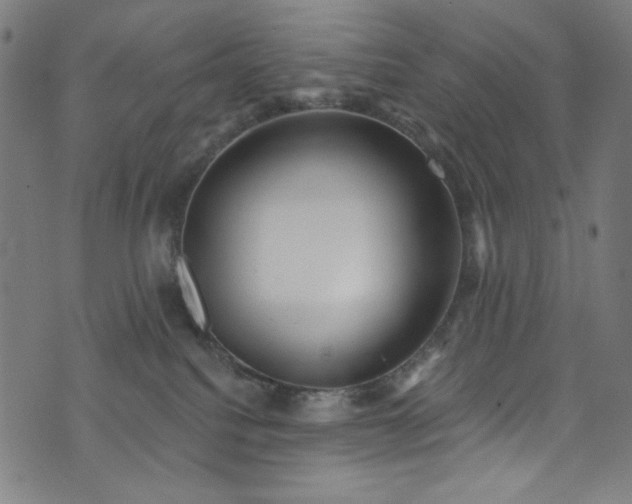 X0000073730088200608171239