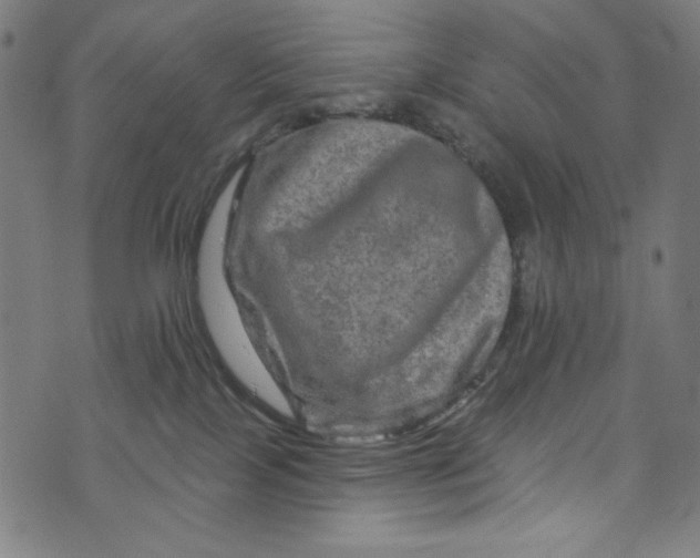 X0000073730089200608171239