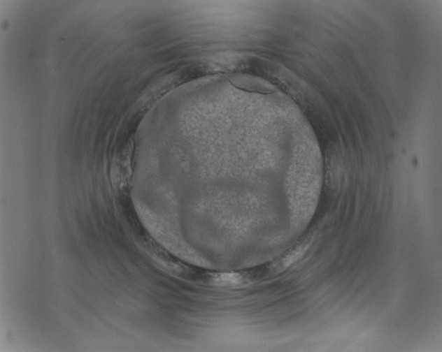 X0000073730091200608171239