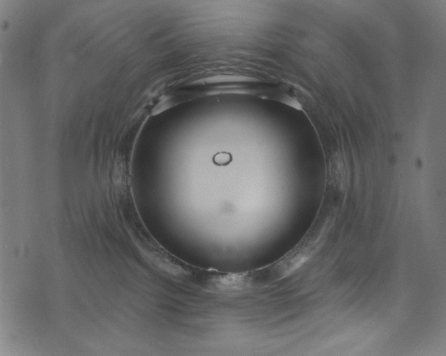 X0000073730092200608171239