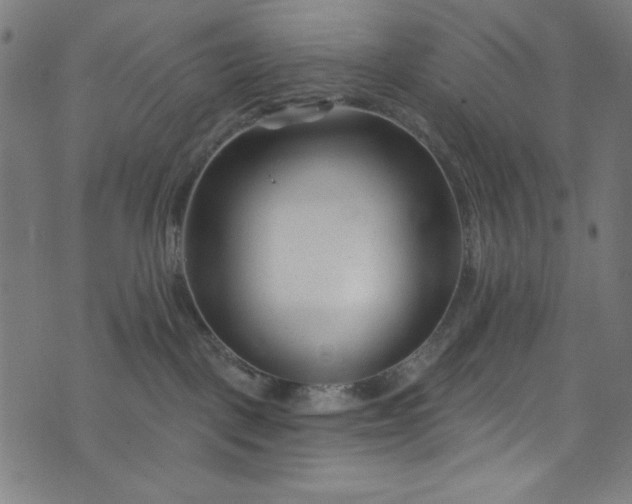 X0000073730093200608171240