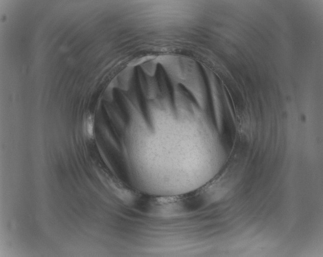 X0000073730095200608171240