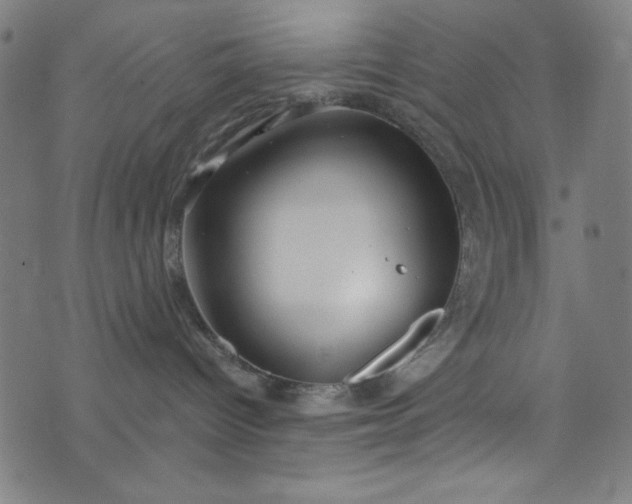 X0000073730096200608171240