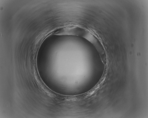 X0000073730097200608171239