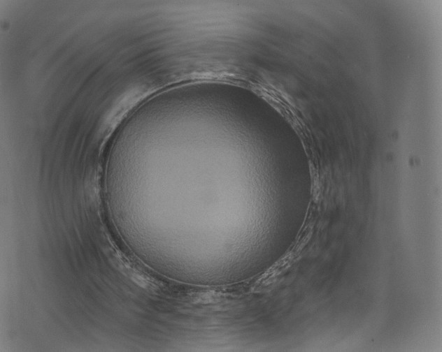 X0000073730098200608171239