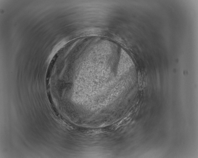 X0000073730099200608171239