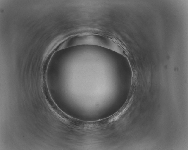 X0000073730101200608171239