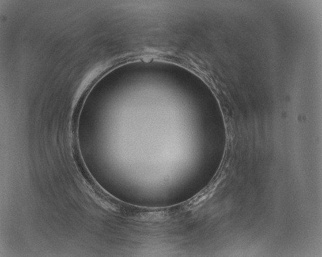 X0000073730102200608171239