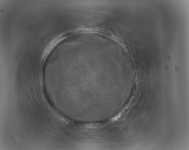 X0000073730103200608171239