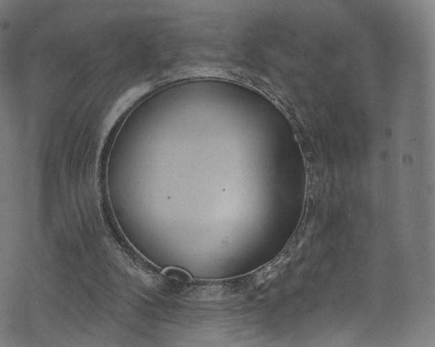 X0000073730104200608171239