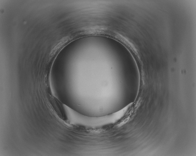 X0000073730105200608171239