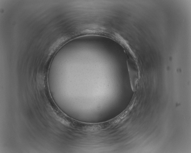 X0000073730106200608171239