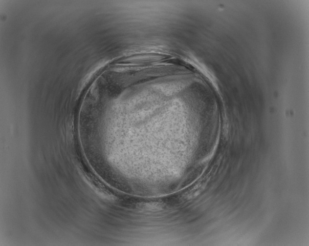 X0000073730107200608171239