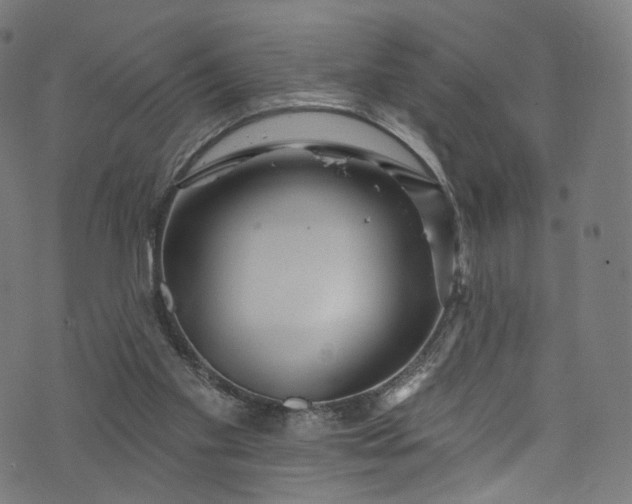 X0000073730109200608171239