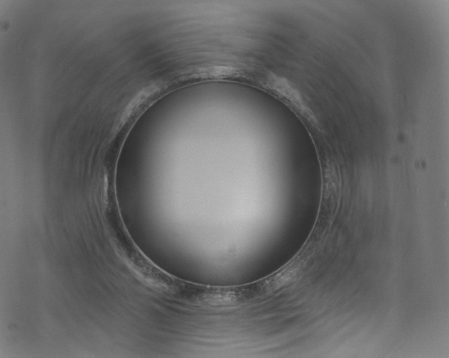 X0000073730110200608171239