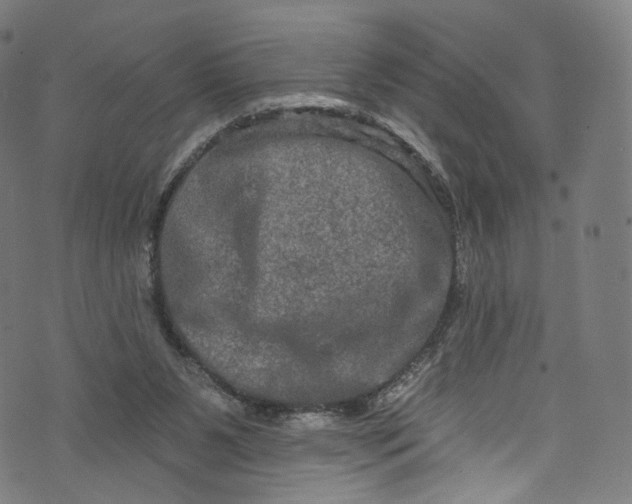 X0000073730111200608171239