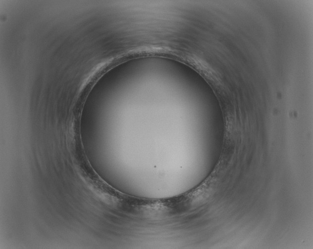 X0000073730112200608171239