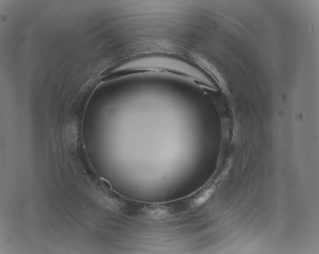 X0000073730113200608171239