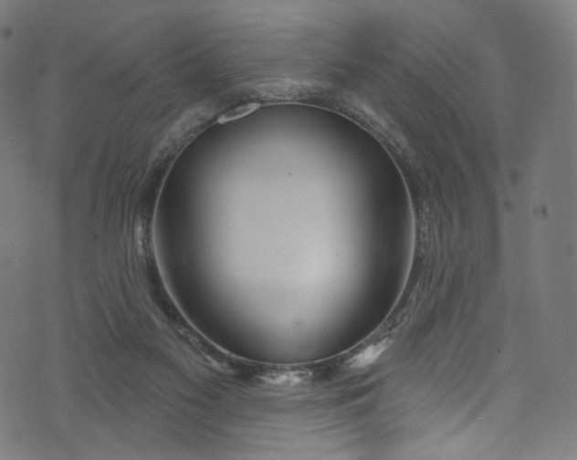 X0000073730117200608171238