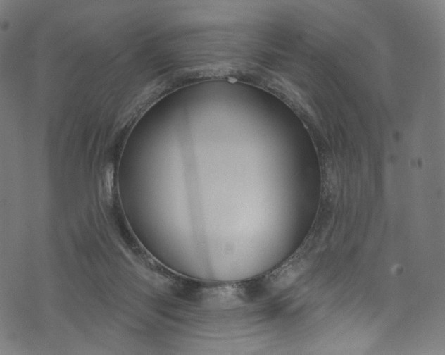 X0000073730118200608171238