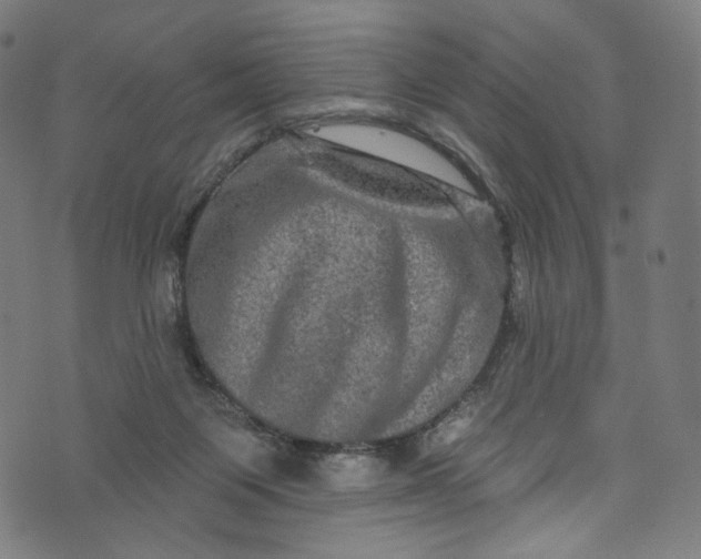 X0000073730119200608171238