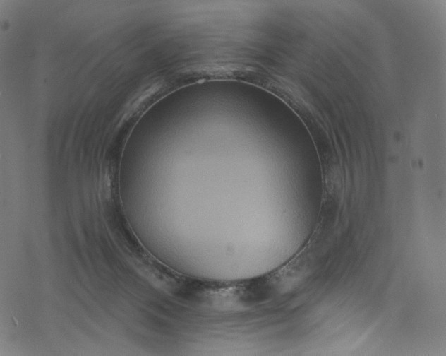 X0000073730120200608171238