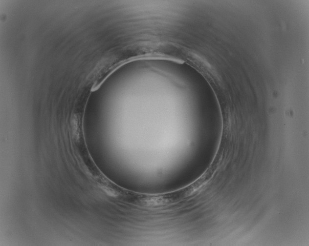 X0000073730121200608171238