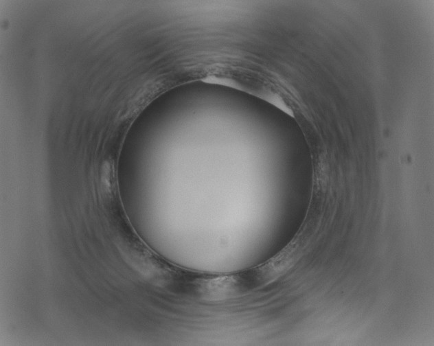 X0000073730122200608171238