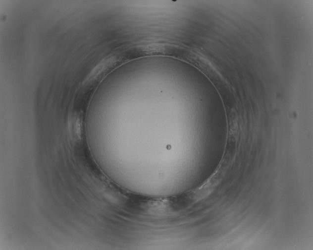 X0000073730124200608171238