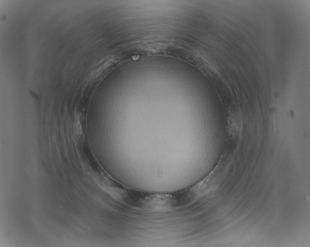 X0000073730128200608171238