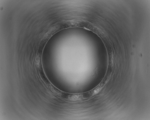 X0000073730129200608171238