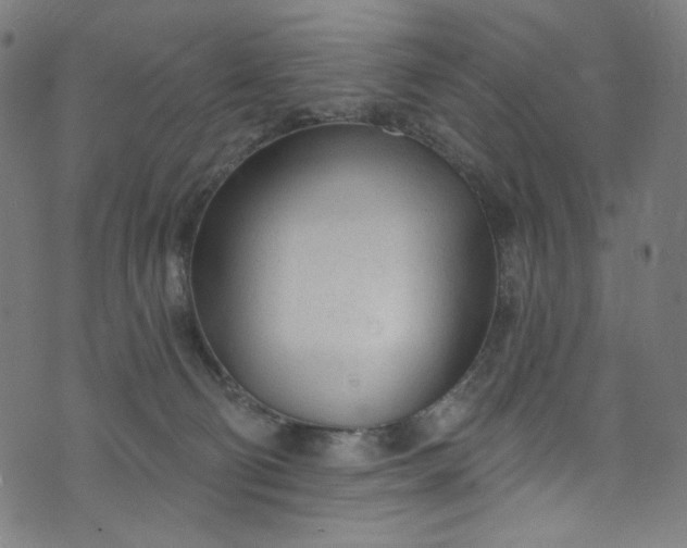 X0000073730130200608171238