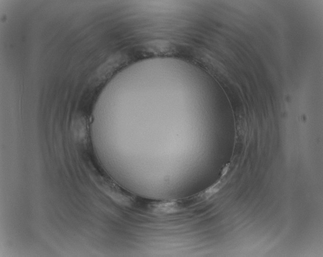 X0000073730132200608171238