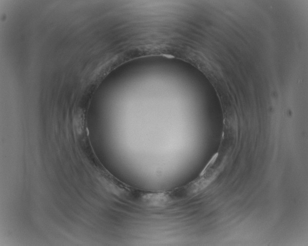 X0000073730133200608171238